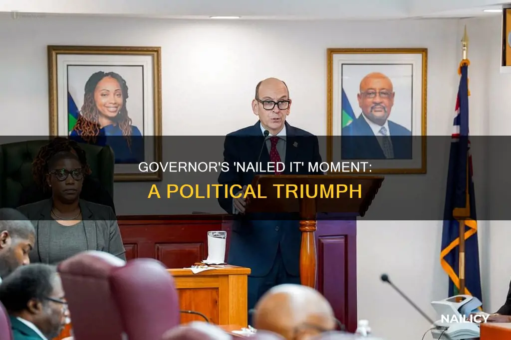 what does nailed it governor mean