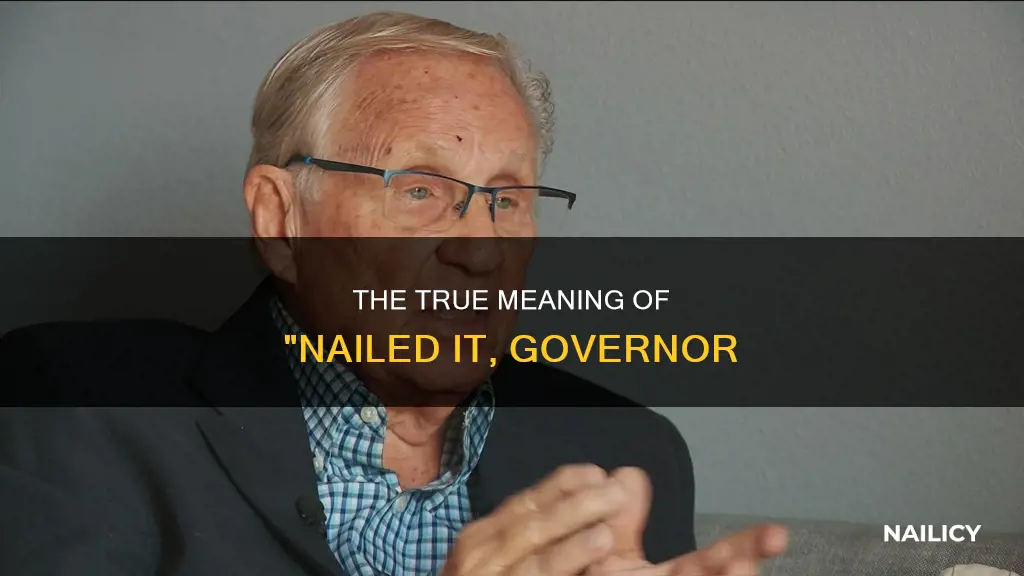 what does nailed it governor mean