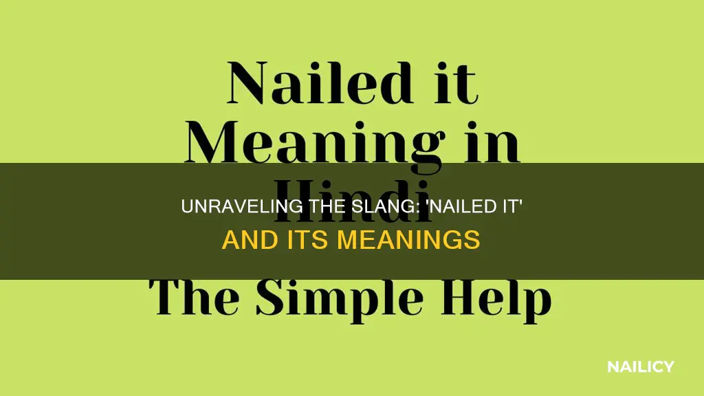 what does nailed it mean in slang