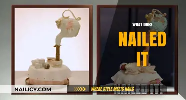 Mastering the Art of Perfection: What Does 'Nailed It' Really Mean?