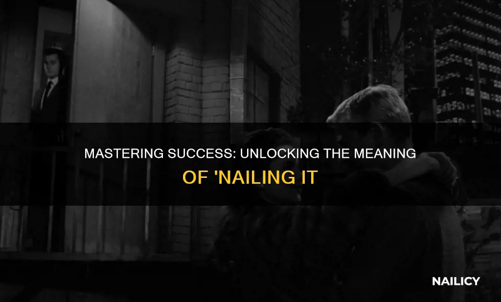 what does nailing it mean