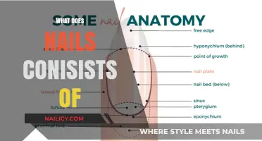 Unveiling the Mysteries: What Lies Beneath Your Fingernails?