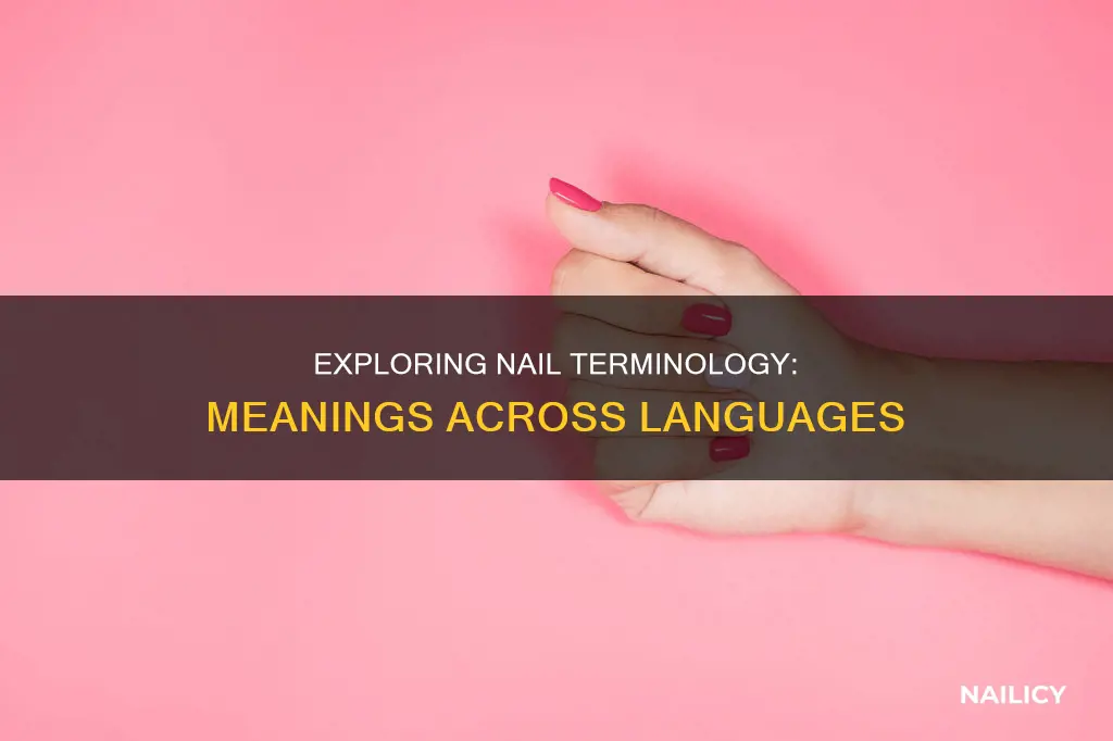 what does nails mean in other languages