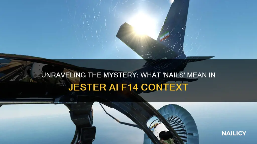 what does nails mean jester ai f14