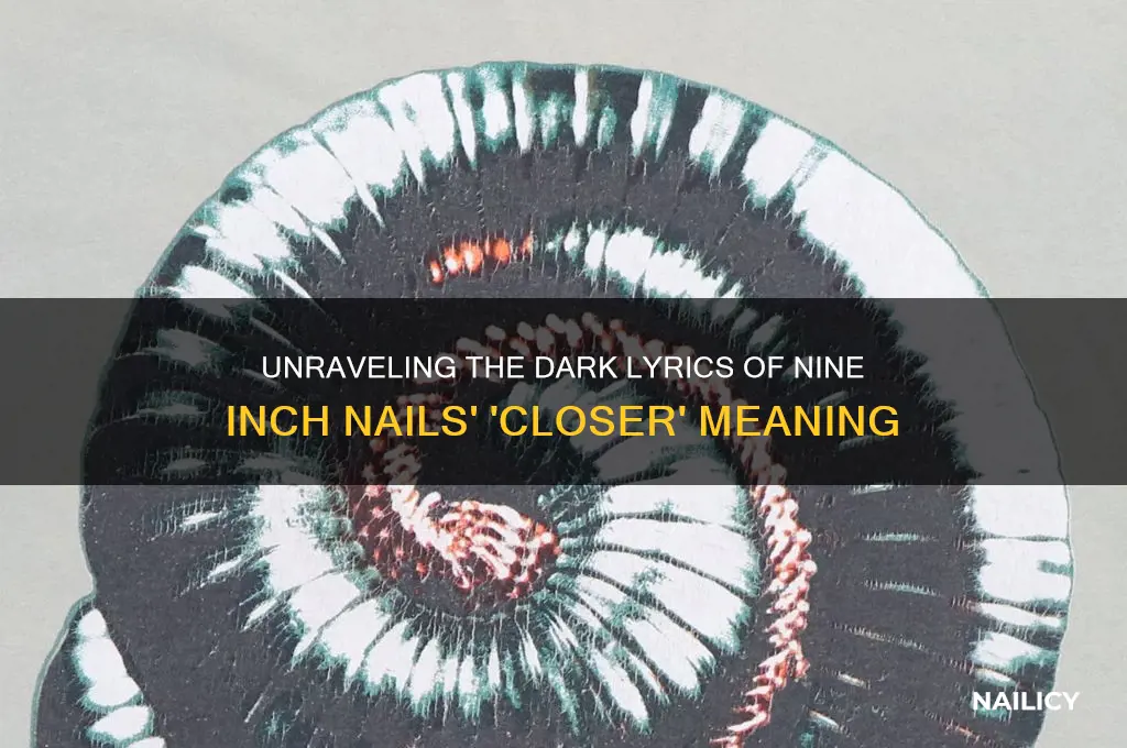 what does nine inch nails closer m