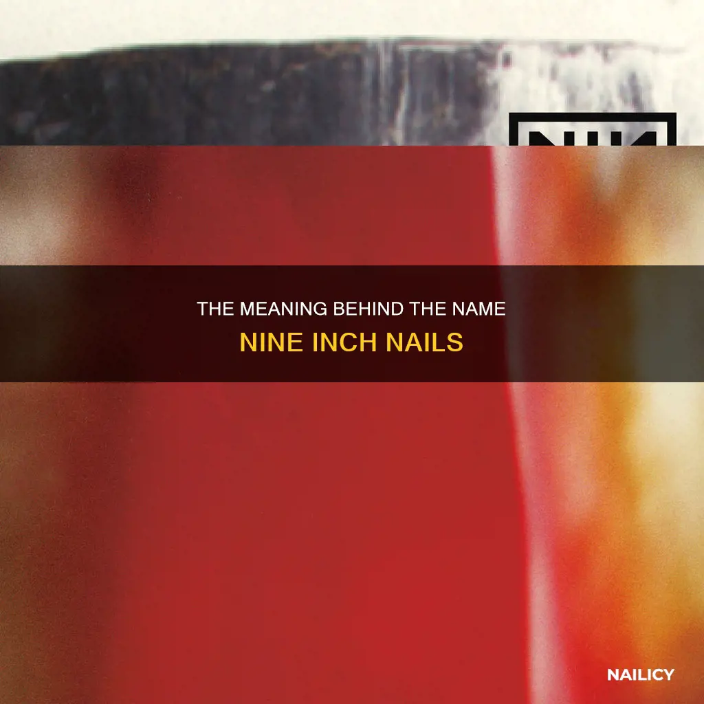 what does nine inch nails mean