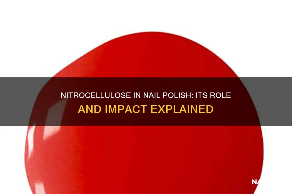 what does nitrocellulose do in nail polish
