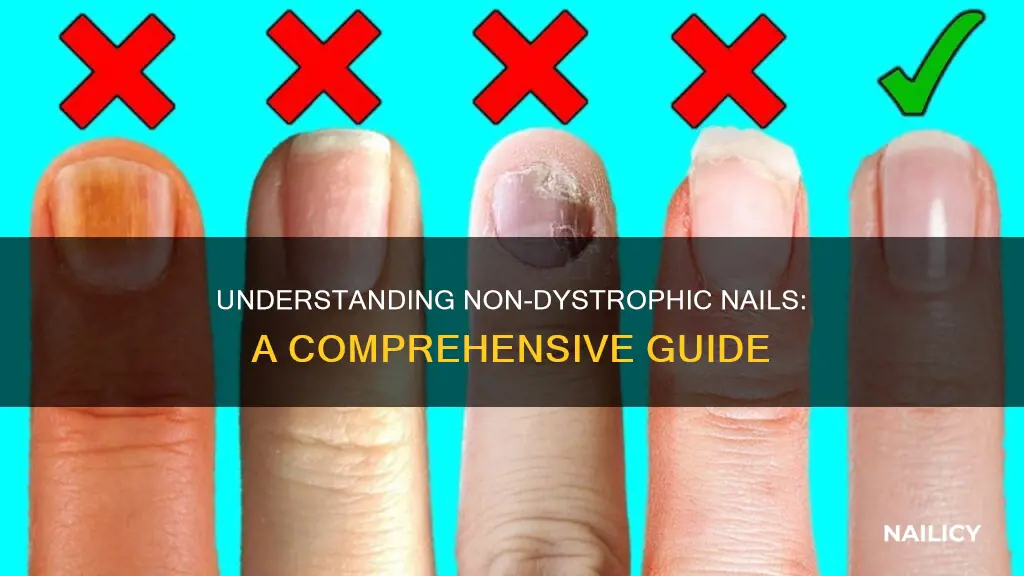 what does non dystrophic nails mean