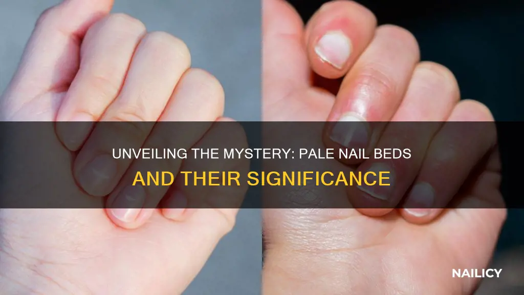 what does pale nail beds mean