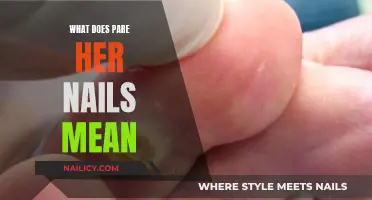 The Art of Trimming Your Dog's Nails