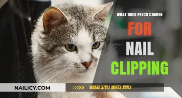 Petco Nail Clipping Cost: What to Expect for Your Pet's Grooming