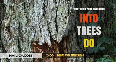 Pounding Nails into Trees: Harmful Effects and Eco-Friendly Alternatives