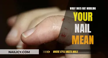 Unraveling the Mystery: Rat's Bite on Your Nail