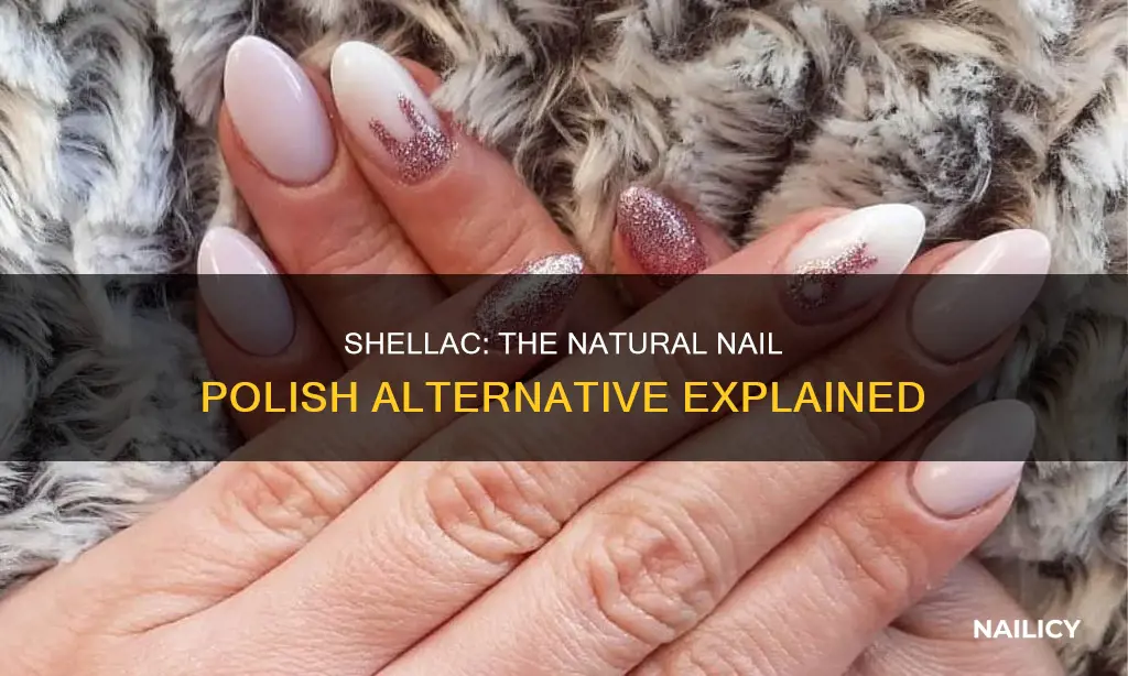 what does shellac mean for nails