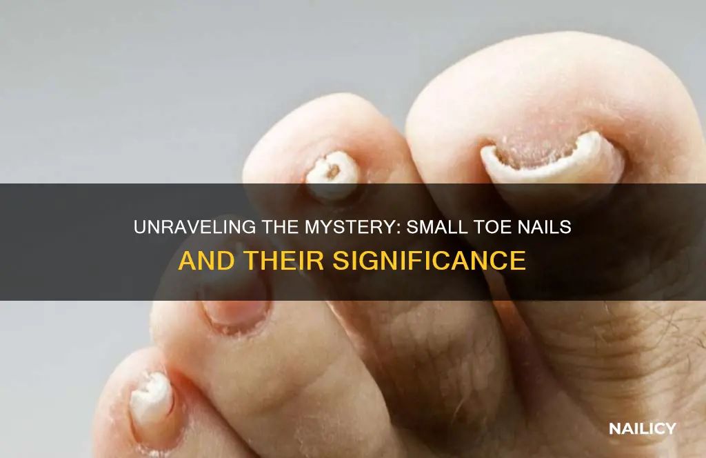 what does small toe nails mean