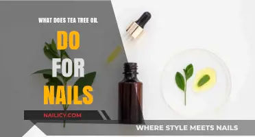 Tea Tree Oil Benefits: Strengthening, Sanitizing, and Revitalizing Your Nails