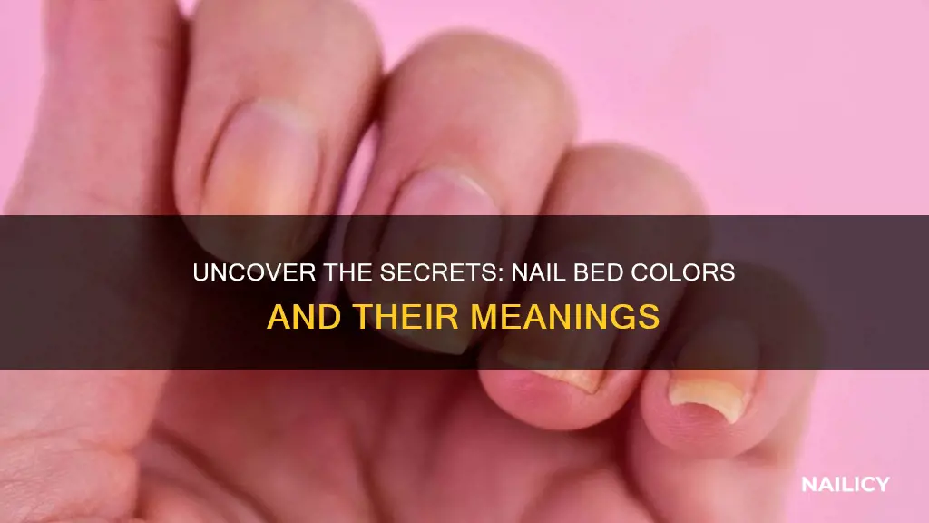 what does the color of nail beds mean