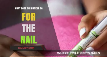 Understanding the Cuticle's Role in Nail Health and Protection