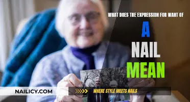 Understanding the Meaning of the Expression "For Want of a Nail