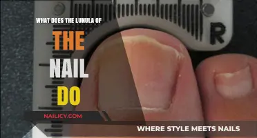 Understanding the Lunula: Its Function and Importance in Nail Health