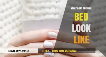 Understanding the Appearance of a Healthy Nail Bed: A Visual Guide