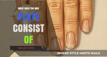 Understanding the Nail Plate: Composition, Structure, and Function Explained