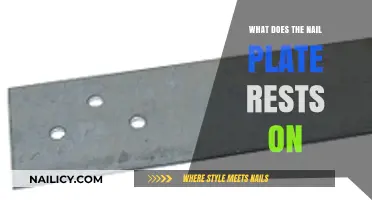 Understanding the Nail Plate's Foundation: What Lies Beneath?