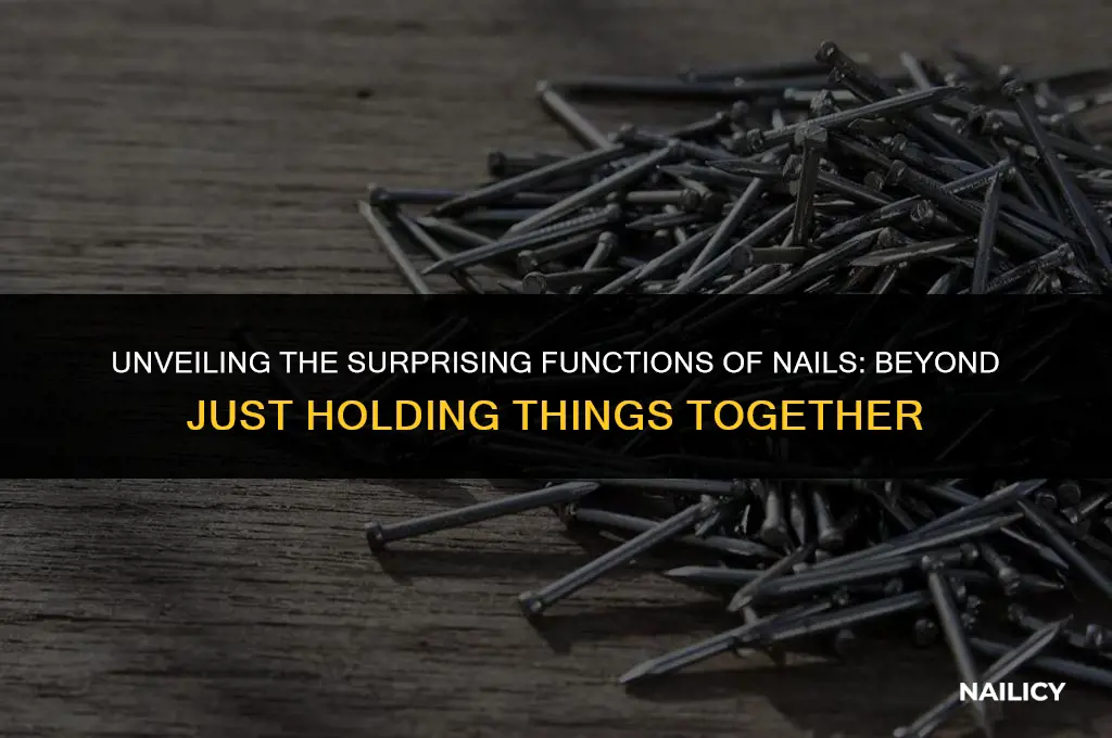 what does the nails do