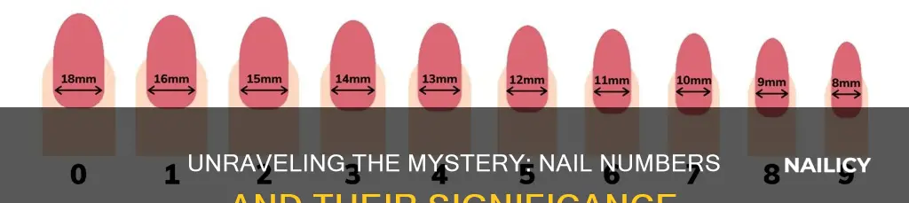 what does the number on nails mean