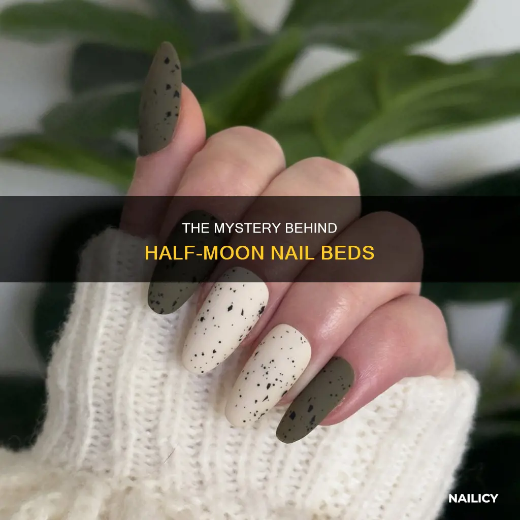 what does the semi circle on your nail mean