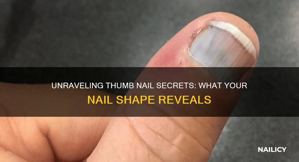 what does the shape of your thumb nail mean