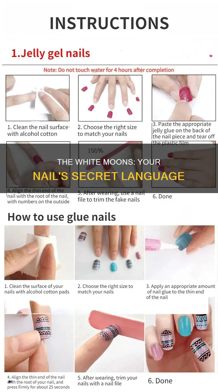 what does the size of your nail white mean