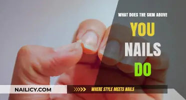 The Surprising Role of the Skin Above Your Nails Explained
