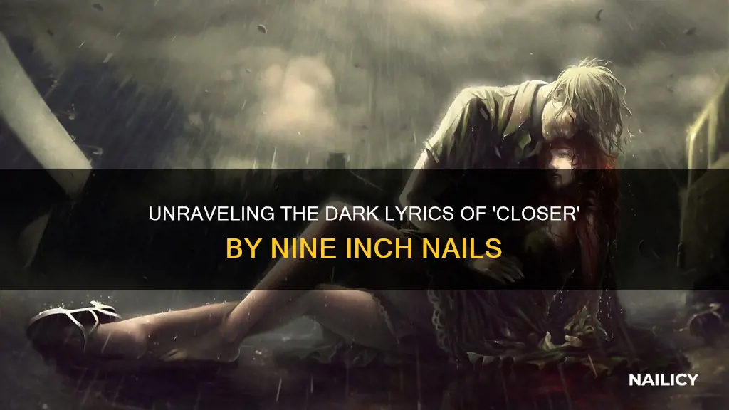 what does the song closer by nine inch nails mean