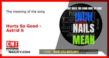 Exploring the Meaning of NIN's Hurt