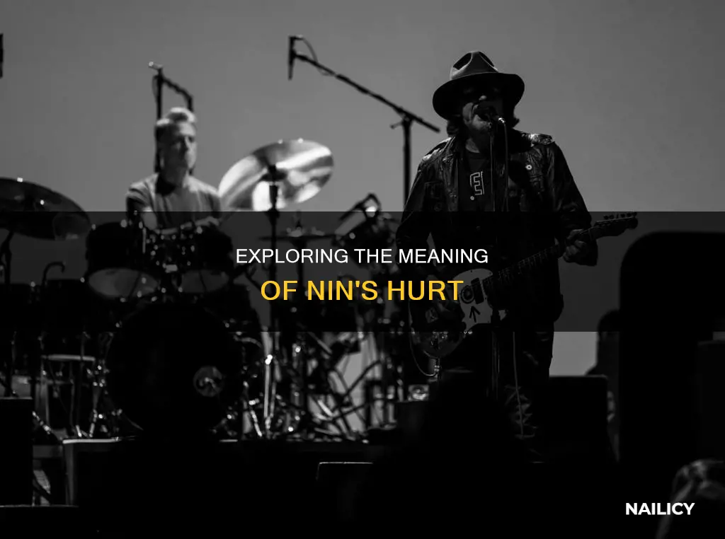 what does the song hurt by nine inch nails mean