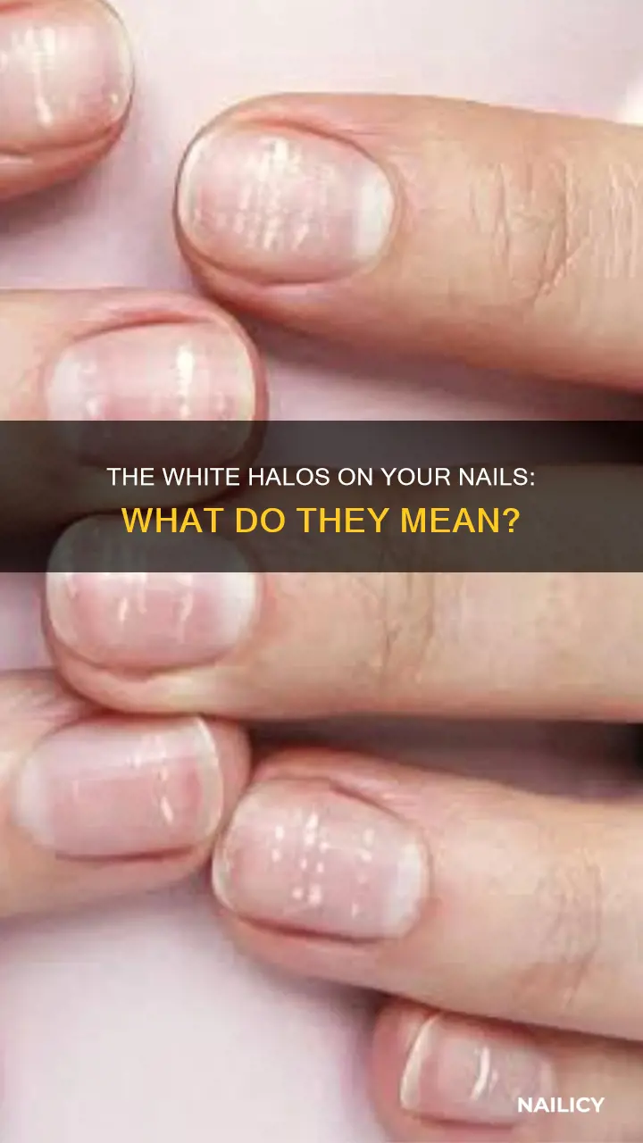 what does the white bit in your nail mean
