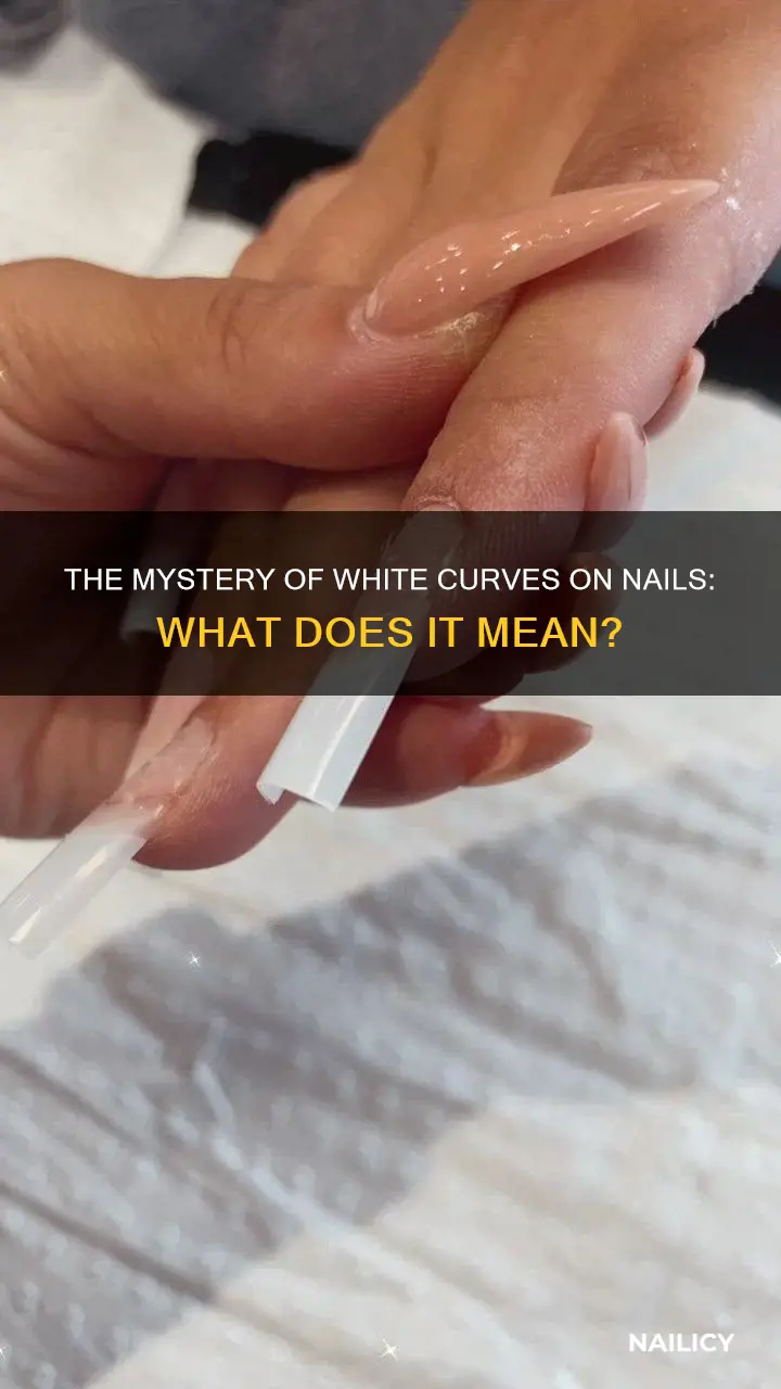 what does the white curve on your nails mean