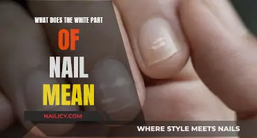 The White Part of Nails: What Does It Mean?