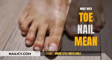 Understanding the Meaning of Toe Nail: A Comprehensive Guide