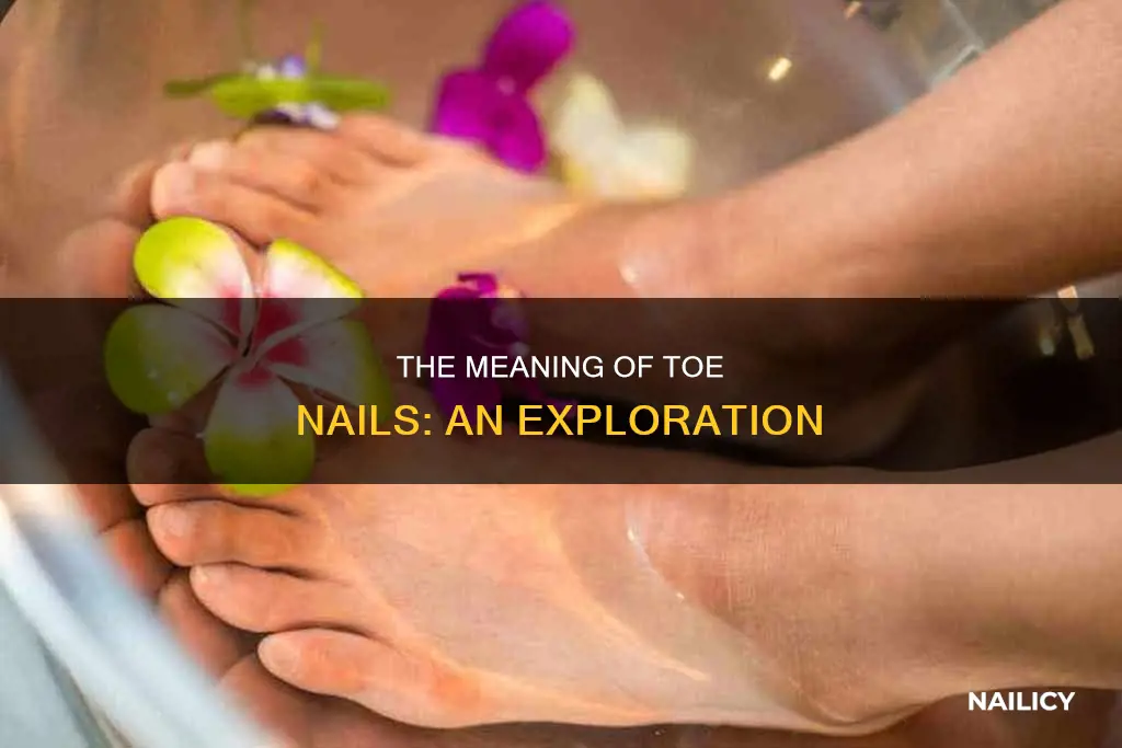 what does toe nail mean