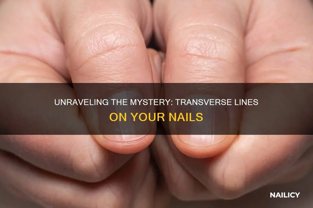 what does transverse lines on nails mean