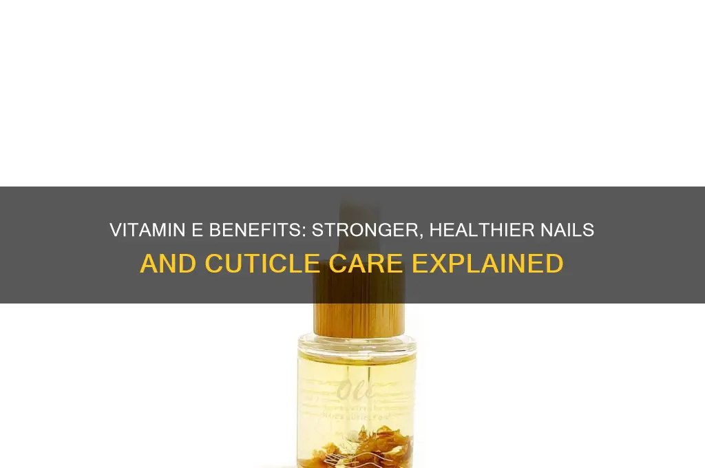 what does vitamin e do for nails