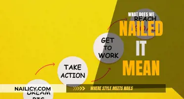 Nailing the Perfect Project: Understanding "We Nailed It