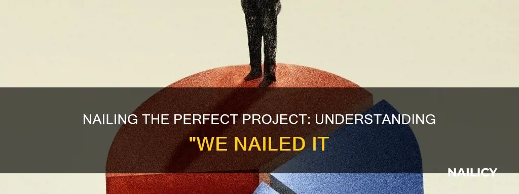 what does we nailed it mean