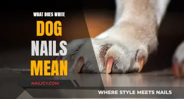 Unraveling the Mystery: What White Dog Nails Indicate