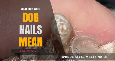White Dog Nails: What Do They Mean?