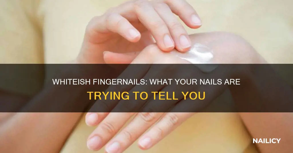 what does whiteish finger nails mean health wise