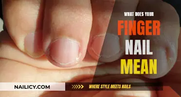 Unraveling the Secrets: What Your Fingernails Reveal About Your Health