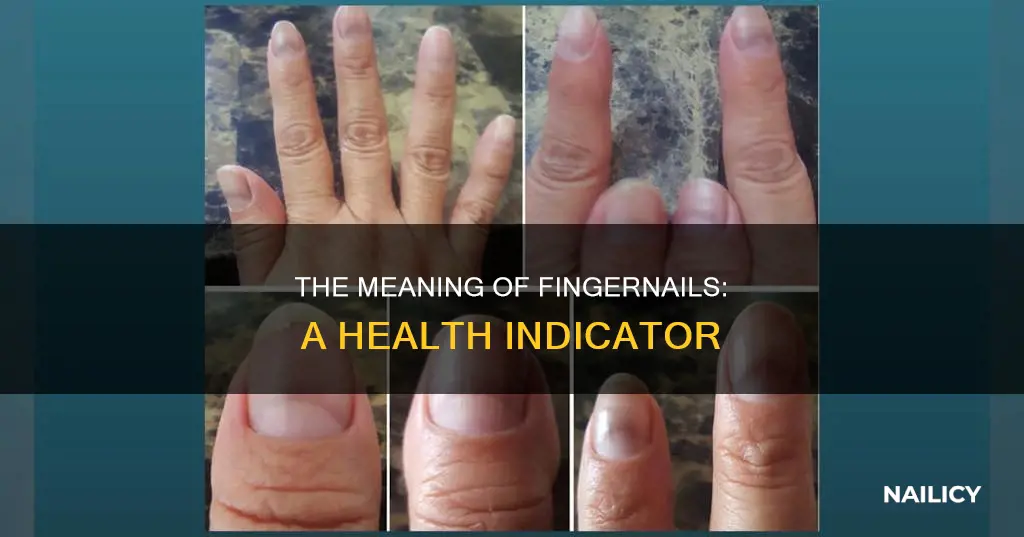 what does your finger nail mean